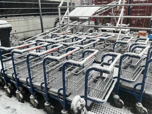 Winkelkarren (25x) - afbeelding 5 van  5