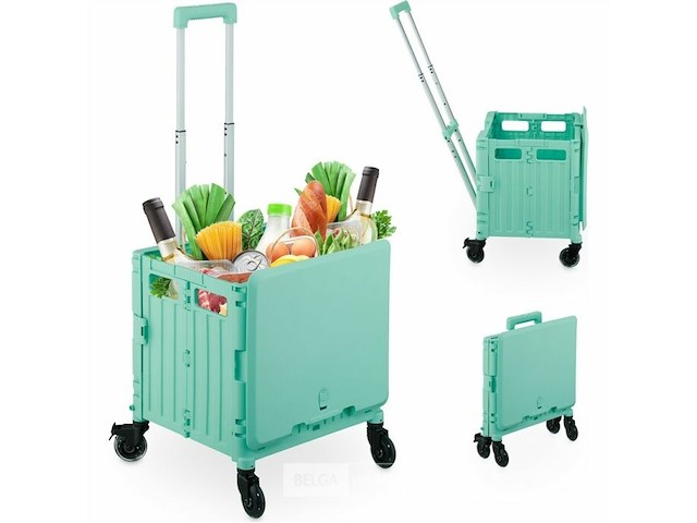 Winkeltrolley - afbeelding 1 van  4