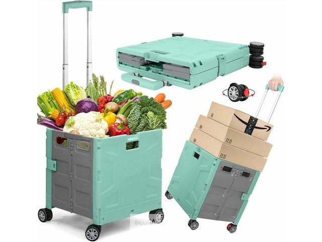 Winkeltrolley - afbeelding 4 van  4