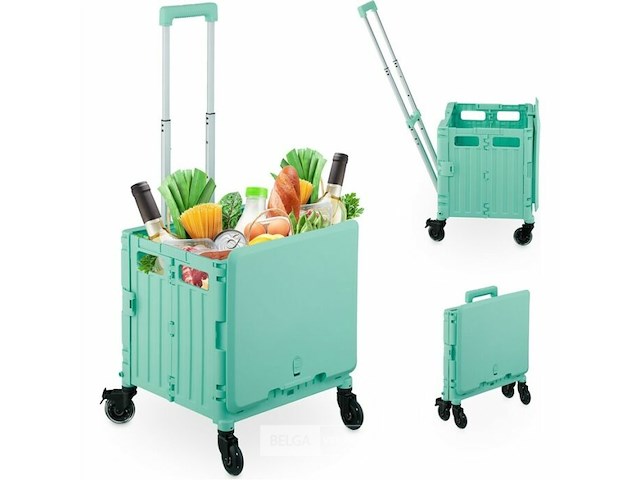 Winkelwagen - afbeelding 1 van  4