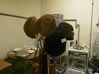 Wintermutsen en hoedjes - afbeelding 1 van  1