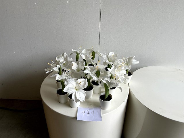 Witte kunstbloemen/plantjes - afbeelding 1 van  1