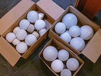 Witte lampbollen - afbeelding 1 van  1