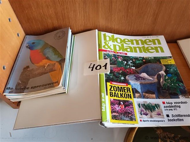 Witte spreeuwen en bloemen en planten - afbeelding 1 van  4