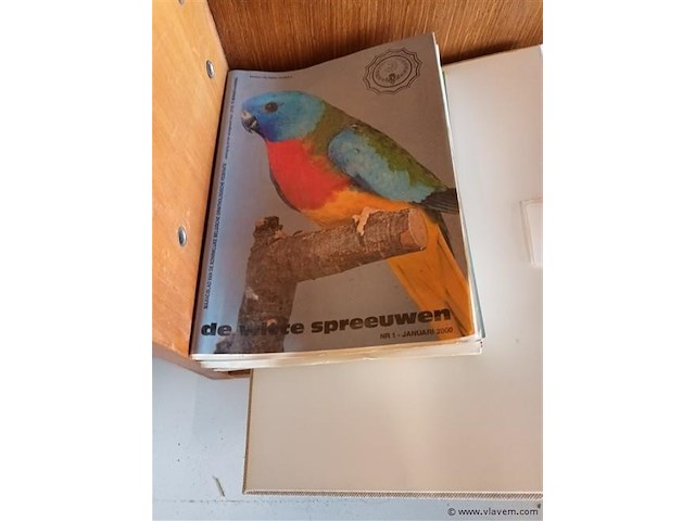 Witte spreeuwen en bloemen en planten - afbeelding 2 van  4