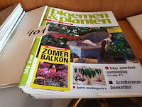 Witte spreeuwen en bloemen en planten - afbeelding 4 van  4