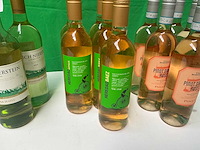 Witte wijn en rosé (26x) - afbeelding 1 van  1