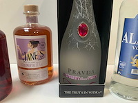 Wodka (9x) - afbeelding 6 van  7