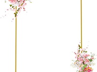 Wokceer 2m achtergrondstandaard - afbeelding 1 van  4