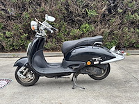 Wolf brand scooters jet ii