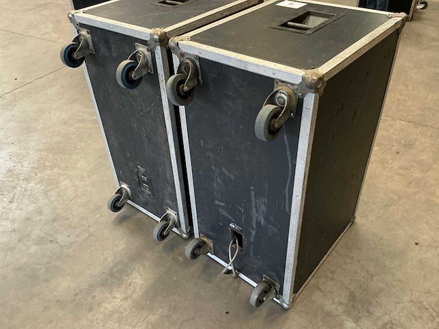 Woofer (2x) - afbeelding 4 van  6