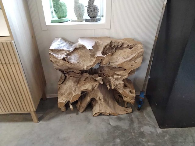 Wortelhout - afbeelding 1 van  2