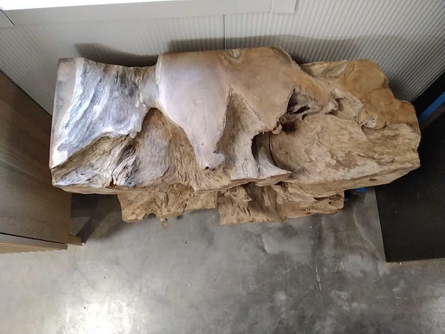 Wortelhout - afbeelding 2 van  2