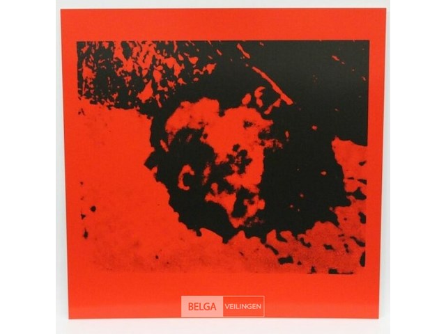 Wout vercammen - afbeelding 1 van  2