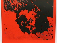 Wout vercammen - afbeelding 1 van  2