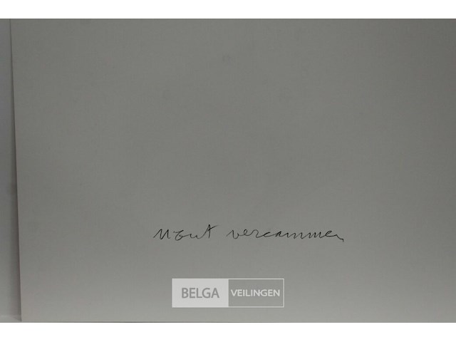 Wout vercammen - afbeelding 2 van  2