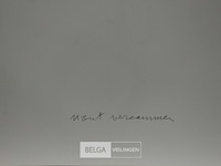 Wout vercammen - afbeelding 2 van  2