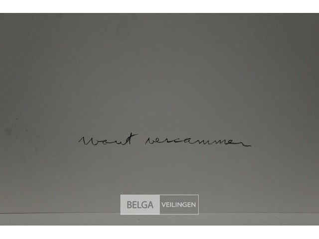 Wout vercammen - afbeelding 2 van  2