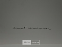 Wout vercammen - afbeelding 2 van  2