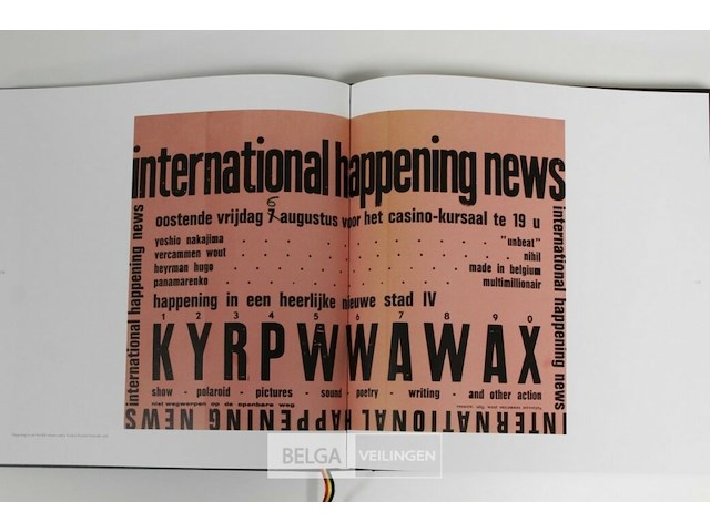 Wout vercammen - afbeelding 5 van  7