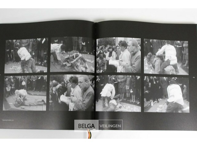 Wout vercammen - afbeelding 6 van  7