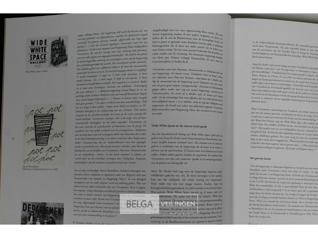 Wout vercammen - afbeelding 7 van  7