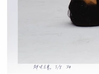 Xu yong & yu na (xx-xxi), 'solution scheme b3' (2007), c-print, n° 3/8 110 x 145 cm. (43.31 x 57.09 in.) - afbeelding 6 van  10