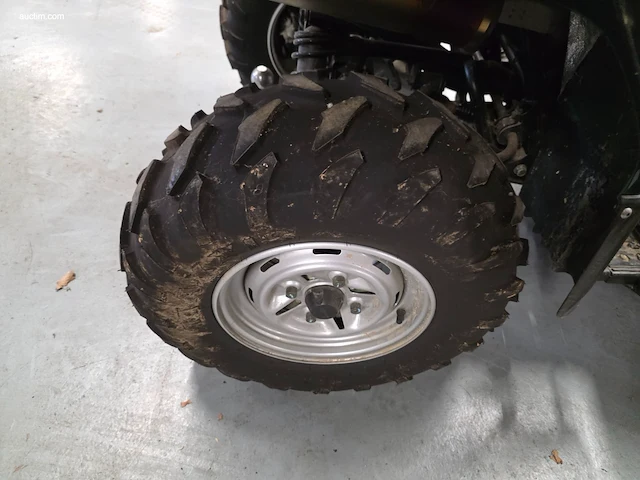 Yamaha kodiak 450 grizzly - afbeelding 10 van  29
