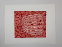 Yayoi kusama - gelimiteerde editie - afbeelding 1 van  1