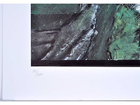 Yvor abrahams - kleurenoffset - afbeelding 3 van  5