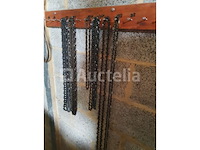 Zaagkettingen - afbeelding 1 van  5