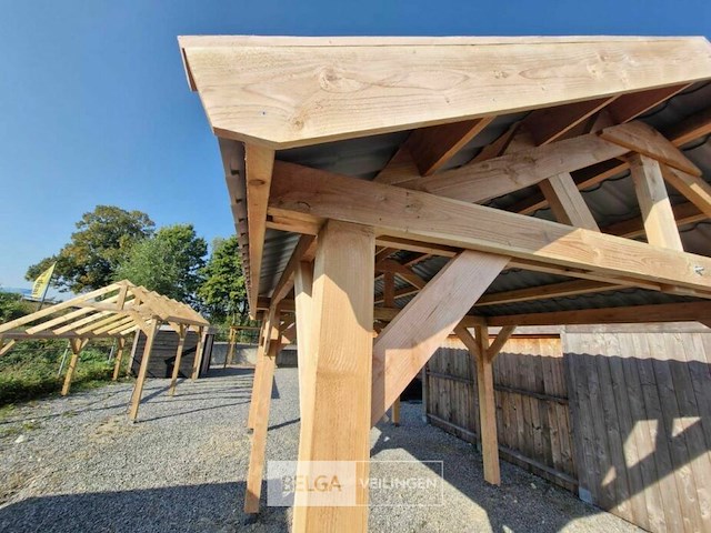 Zadeldak douglas 550x400x325cm bxdxh in cm - afbeelding 7 van  9