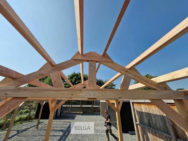 Zadeldak douglas 660x400x325cm bxdxh in cm - afbeelding 5 van  6