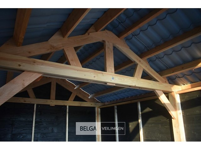 Zadeldak douglas 880x400x325cm bxdxh in cm - afbeelding 7 van  7