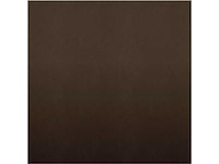 Zahna unifarben 25 mokka eben 10x10 cm - vloertegel 11m² - afbeelding 1 van  1