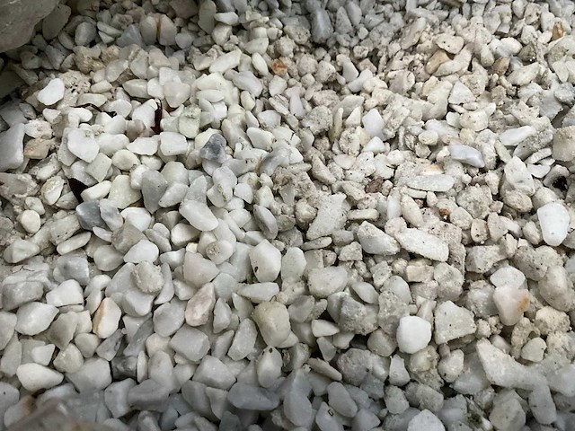 Zak siergrind - afbeelding 1 van  2