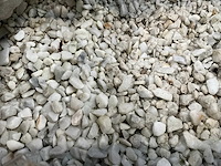 Zak siergrind - afbeelding 1 van  2