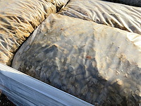 Zakken gravier kiezel (56x) - afbeelding 5 van  5