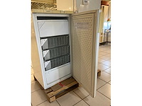 Zanker nv20 vriezer - afbeelding 3 van  4