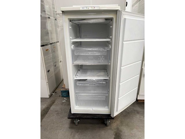 Zanussi - vriezer - - afbeelding 9 van  10