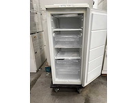 Zanussi - vriezer - - afbeelding 9 van  10