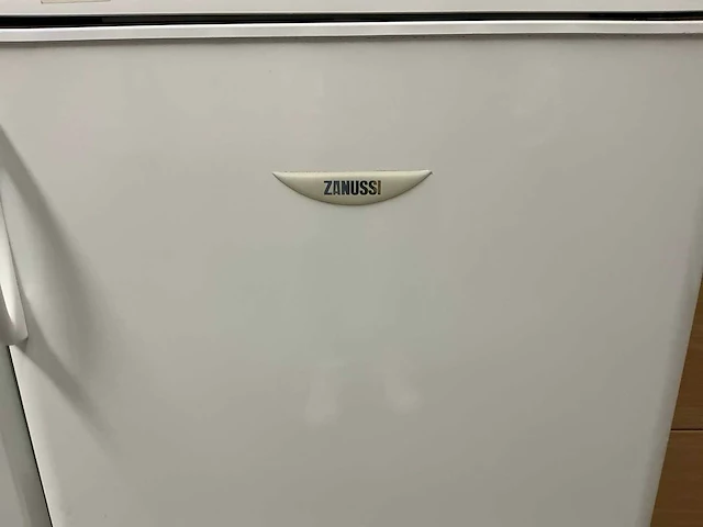 Zanussi tt160c koelkast - afbeelding 1 van  4