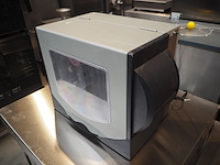 Zebra - afbeelding 3 van  6