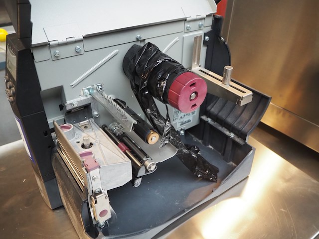 Zebra - afbeelding 4 van  6