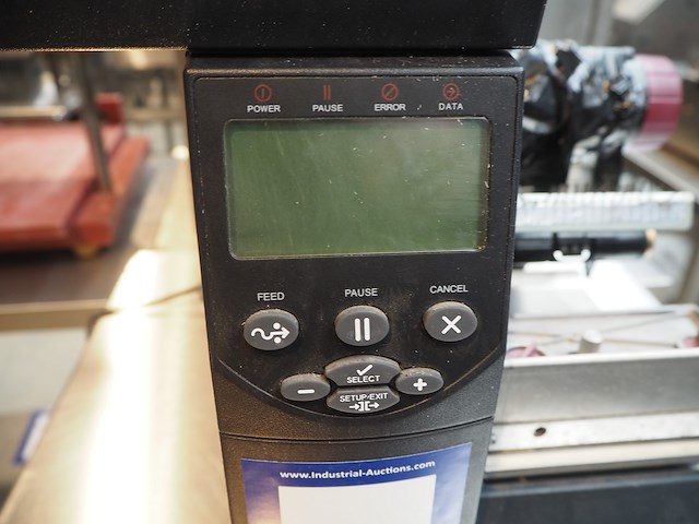 Zebra - afbeelding 5 van  6