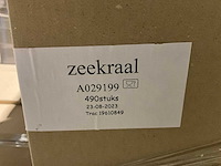 Zeekraal kartonnen verpakkingschaaltjes (4900x) - afbeelding 6 van  6