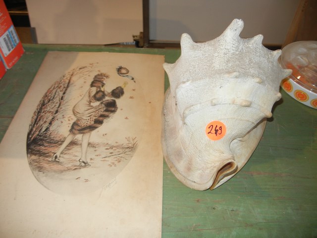 Zeeschelp en kunstwerk - afbeelding 1 van  1