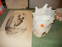 Zeeschelp en kunstwerk - afbeelding 1 van  1