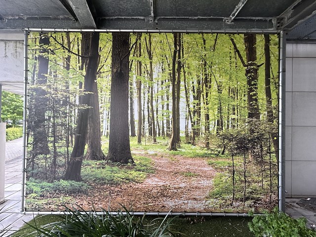 Zeil met print 5m x 3,35m - afbeelding 1 van  1