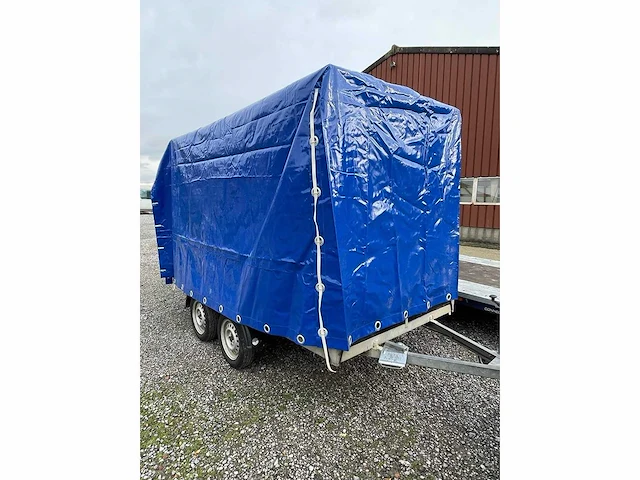 Zeil voor sari's - afbeelding 2 van  4
